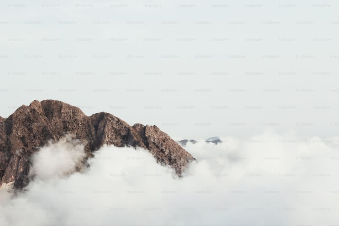 怎么继续获取股票信息？
